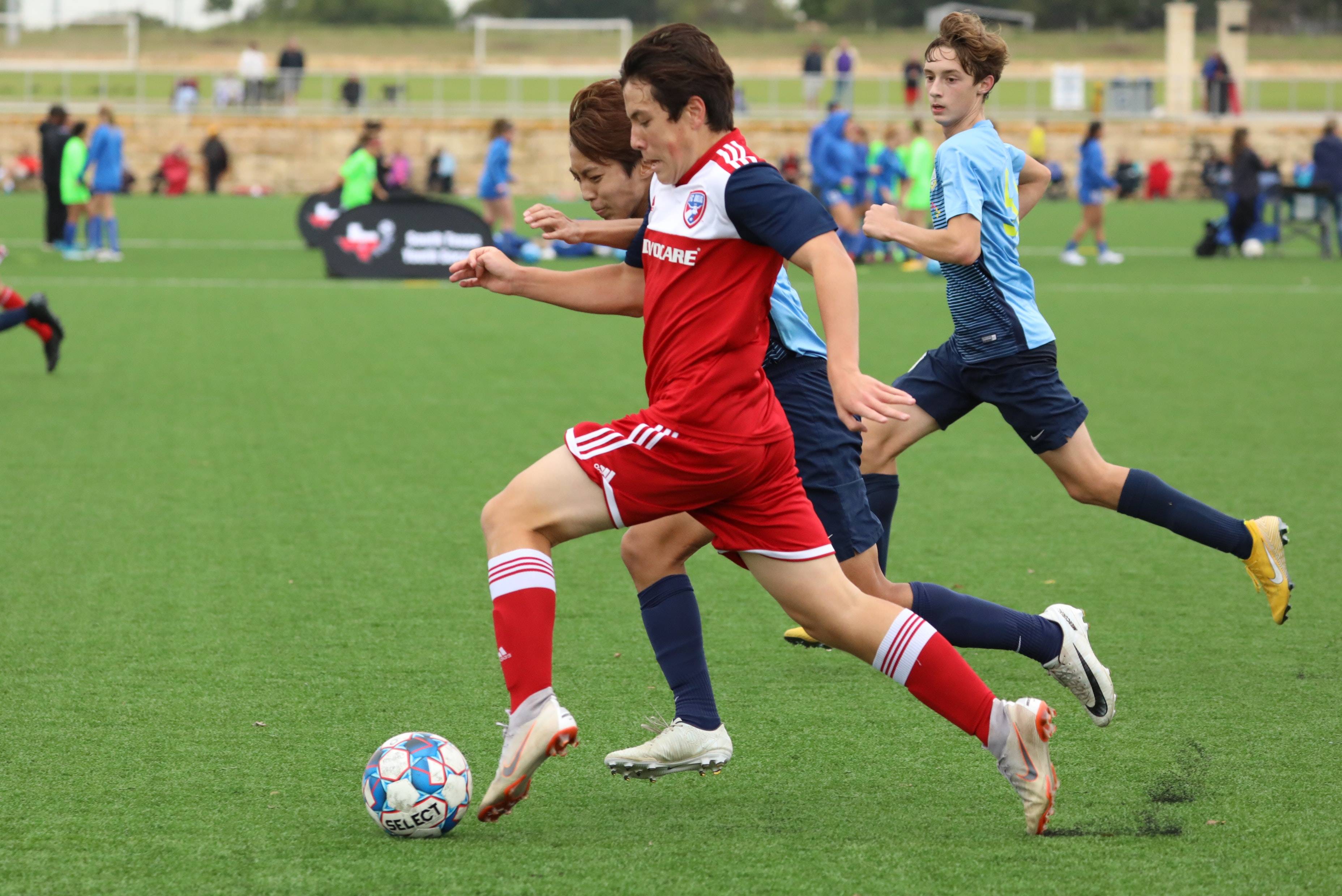 垒的篮球魅 垒的篮球魅