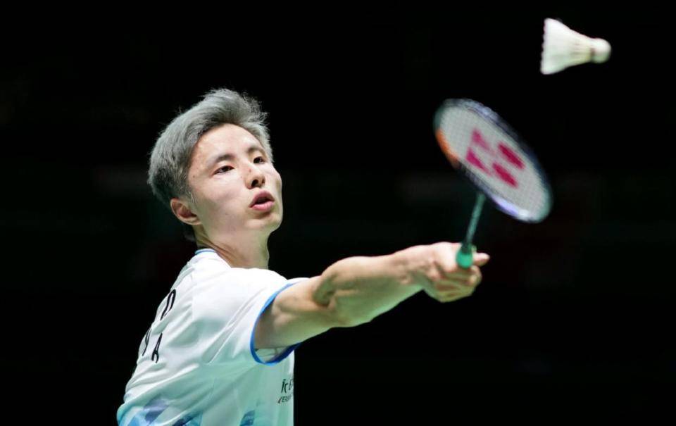 者提供了展 者提供了展